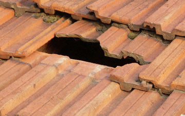 roof repair Henaford, Devon