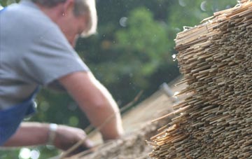 professional Henaford thatchers